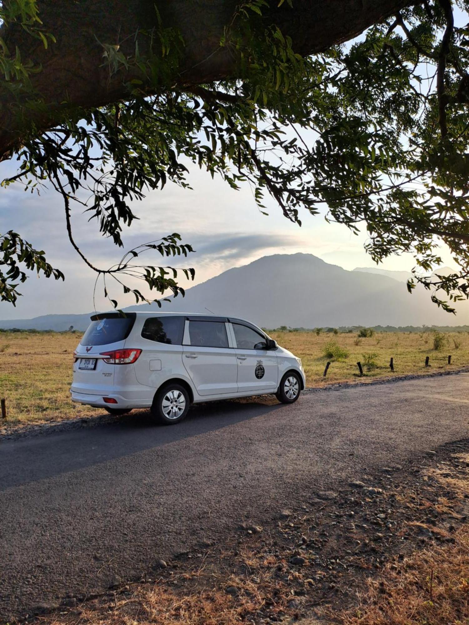 Tropical Paradiso Homestay Banyuwangi  Eksteriør billede